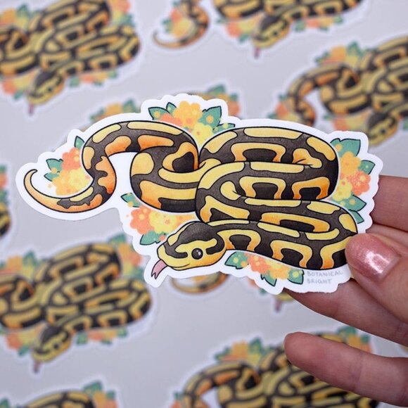 3 for $15‎ - Ball Python Snake Sticker - Waterproof Vinyl Nature Decal - Picture 3 of 7